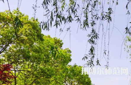 南陽理工師范學(xué)院2023年報名條件、招生要求、招生對象