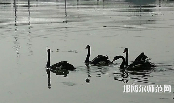 浙江師范大學(xué)行知學(xué)院蘭溪校區(qū)2023年怎么樣、好不好
