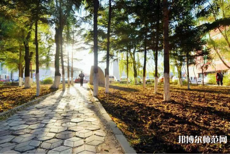 長春大學(xué)師范學(xué)院主校區(qū)2023年報(bào)名條件、招生要求、招生對(duì)象