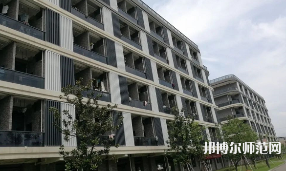 浙江師范大學(xué)行知學(xué)院師大校區(qū)2023年有哪些專(zhuān)業(yè)
