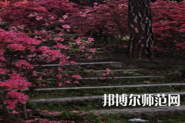信陽師范學(xué)院華銳學(xué)院2023年報名條件、招生要求、招生對象