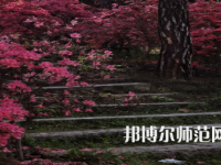 信陽(yáng)師范學(xué)院華銳學(xué)院2023年報(bào)名條件、招生要求、招生對(duì)象