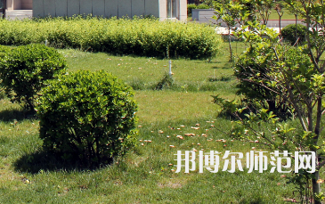 安陽(yáng)幼兒師范高等?？茖W(xué)校歷年招生錄取分?jǐn)?shù)線