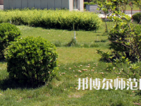 安陽(yáng)幼兒師范高等?？茖W(xué)校歷年招生錄取分?jǐn)?shù)線