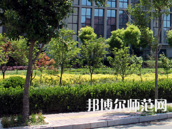 安陽幼兒師范高等?？茖W(xué)校2023年有哪些專業(yè)