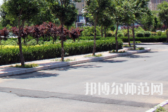 安陽幼兒師范高等?？茖W(xué)校2023年有哪些專業(yè)