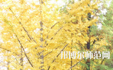 信陽師范學(xué)院2023年怎么樣、好不好