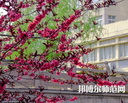 蘇州科技師范大學(xué)天平學(xué)院2023年報名條件、招生要求、招生對象