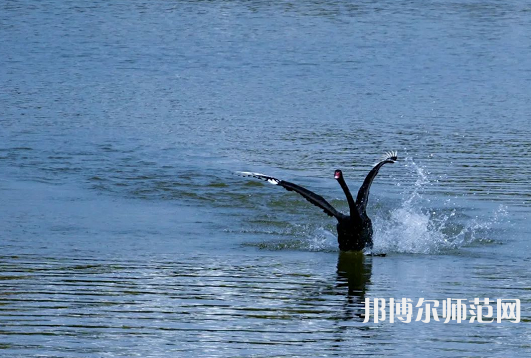 浙江師范大學(xué)2023年怎么樣、好不好