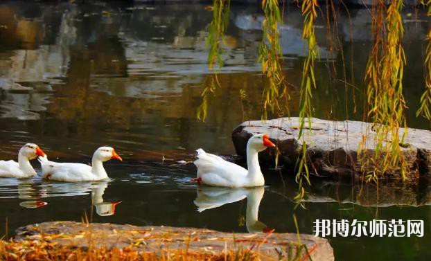 山東財(cái)經(jīng)師范大學(xué)萊蕪校區(qū)2023年報(bào)名條件、招生要求、招生對(duì)象 