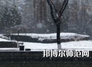 焦作師范高等?？茖W(xué)校2023年招生代碼