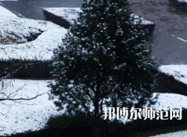 焦作師范高等?？茖W(xué)校2023年報(bào)名條件、招生要求、招生對(duì)象