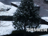 焦作師范高等專科學(xué)校2023年報(bào)名條件、招生要求、招生對象