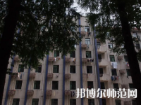 安徽大學(xué)師范學(xué)院龍河校區(qū)2023年有哪些專(zhuān)業(yè)