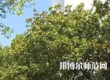 湖南理工師范學(xué)院南湖學(xué)院2023年怎么樣、好不好