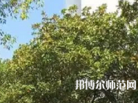 湖南理工師范學(xué)院南湖學(xué)院2023年怎么樣、好不好