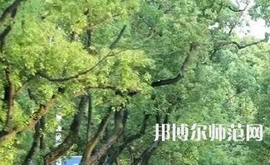 湖南理工師范學院南湖學院2023年報名條件、招生要求、招生對象