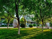山東財(cái)經(jīng)師范大學(xué)圣井校區(qū)2023年怎么樣、好不好