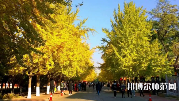 遼寧大學(xué)師范學(xué)院崇山校區(qū)2023年報(bào)名條件、招生要求、招生對(duì)象