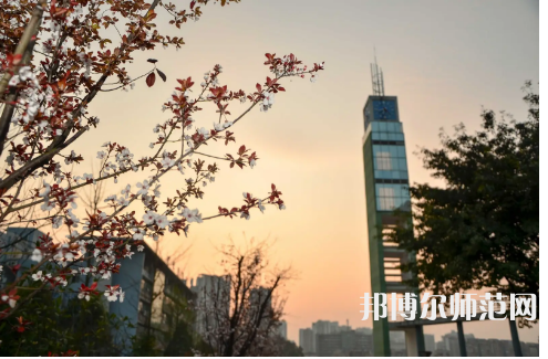 重慶文理師范學(xué)院星湖校區(qū)2023年學(xué)費(fèi)、收費(fèi)多少