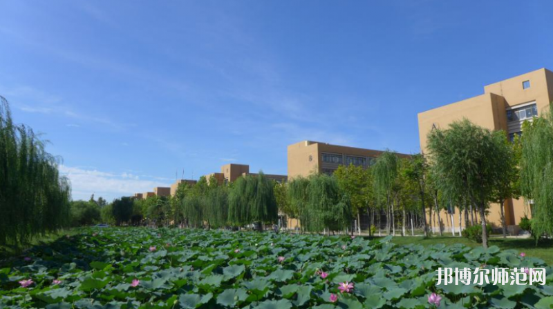 東營職業(yè)師范學(xué)院2023年報(bào)名條件、招生要求、招生對(duì)象 