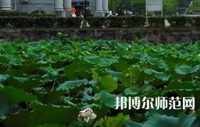 南華師范大學紅湘校區(qū)2023年報名條件、招生要求、招生對象