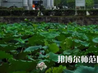 南華師范大學(xué)紅湘校區(qū)2023年報(bào)名條件、招生要求、招生對(duì)象