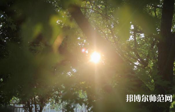 咸陽職業(yè)技術(shù)師范學(xué)院2023年報(bào)名條件、招生要求、招生對(duì)象