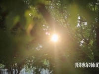 咸陽職業(yè)技術(shù)師范學(xué)院2023年報名條件、招生要求、招生對象