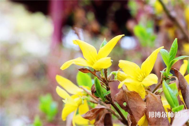 海南師范大學(xué)2023年報名條件、招生要求、招生對象 