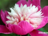 海南師范大學(xué)2023年報(bào)名條件、招生要求、招生對象