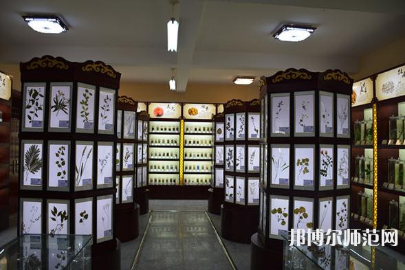 銅川職業(yè)技術(shù)師范學院2023年學費、收費多少