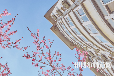 南京信息工程師范大學(xué)2023報名條件、招生要求、招生對象