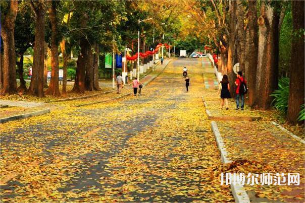海南大學(xué)師范學(xué)院海甸校區(qū)2023年報(bào)名條件、招生要求、招生對(duì)象 