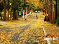 海南大學(xué)師范學(xué)院海甸校區(qū)2023年報(bào)名條件、招生要求、招生對象