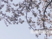 湖南第一師范學(xué)院城南書院校區(qū)2023年學(xué)費、收費多少