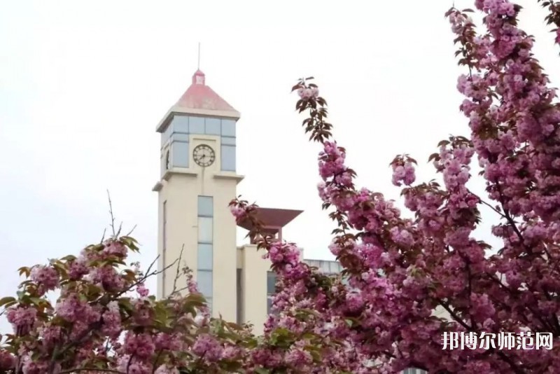 青島師范大學(xué)金家?guī)X校區(qū)2023年報(bào)名條件、招生要求、招生對(duì)象 