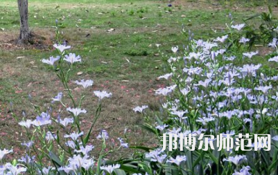 湖南第一師范學(xué)院城南書院校區(qū)2023年怎么樣、好不好