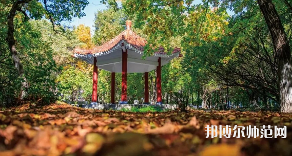 黑龍江師范大學(xué)2023年報(bào)名條件、招生要求、招生對(duì)象 