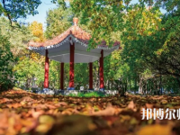 黑龍江師范大學2023年報名條件、招生要求、招生對象