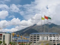 拉薩師范高等?？茖W(xué)校2023年招生代碼