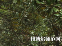 湖南師范大學(xué)樹達(dá)學(xué)院2023年學(xué)費、收費多少