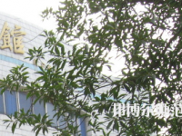 湖南師范大學(xué)樹達學(xué)院2023年怎么樣、好不好