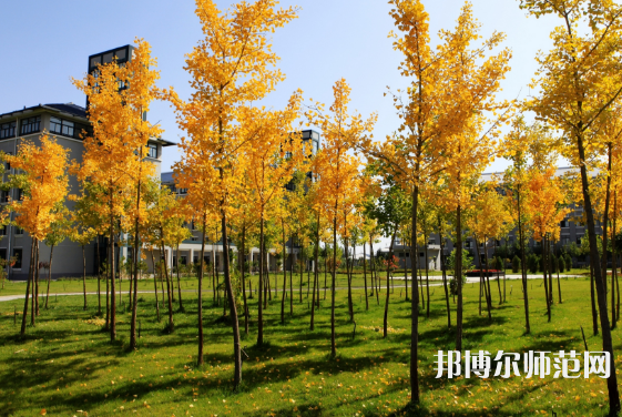 瀘州幼師職業(yè)技術學校2023年學費、收費多少