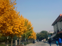 西北師范大學2023年怎么樣、好不好