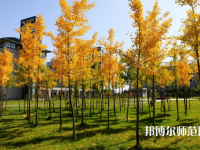瀘州啟明幼師職業(yè)技術(shù)學(xué)校2023年學(xué)費(fèi)、收費(fèi)多少