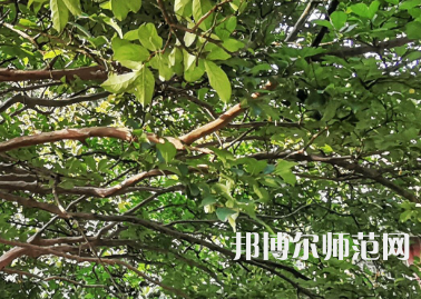 湖南師范大學(xué)2023年報名條件、招生要求、招生對象