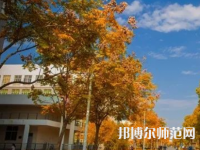 南京師范大學(xué)泰州學(xué)院2023年報(bào)名條件、招生要求、招生對(duì)象