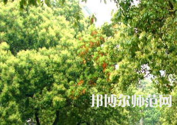 衡陽師范學(xué)院南岳學(xué)院2023年怎么樣、好不好