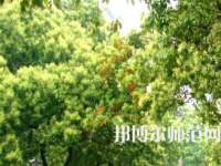 衡陽師范學(xué)院南岳學(xué)院2023年怎么樣、好不好